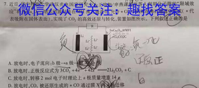 q重庆市巴蜀中学高2025届高一（上）学月考试化学