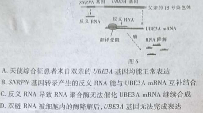 ［甘肃大联考］甘肃省2024届高三年级9月联考生物