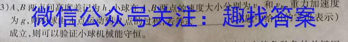 安徽省2023-2024学年九年级上学期教学质量调研一（考后更新）q物理