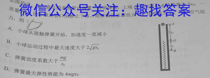 陕西省2024届九年级收心考试（温泉）物理`