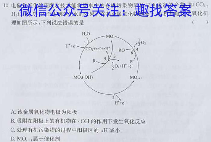 f天壹名校联盟 2024届高三9月大联考化学