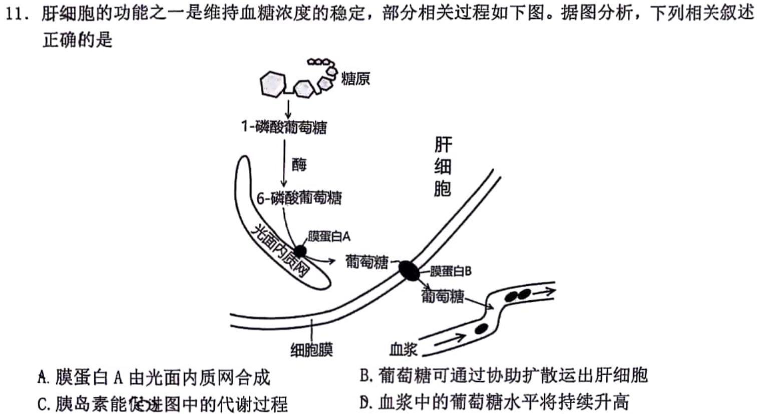 2024全国高考分科综合卷 老高考(六)6生物