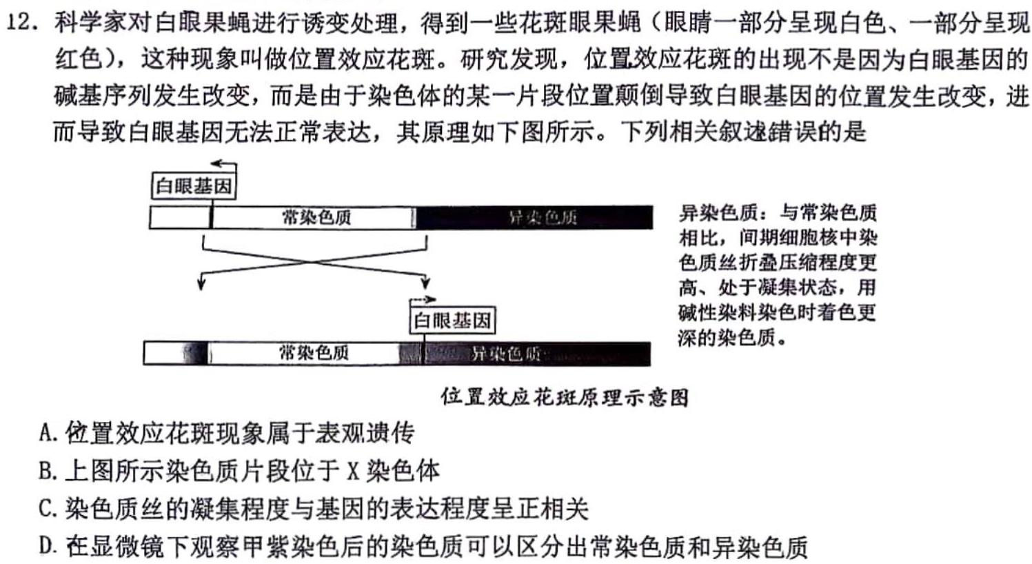 河北省衡中同卷2023-2024学年度上学期高三年级一调考试生物