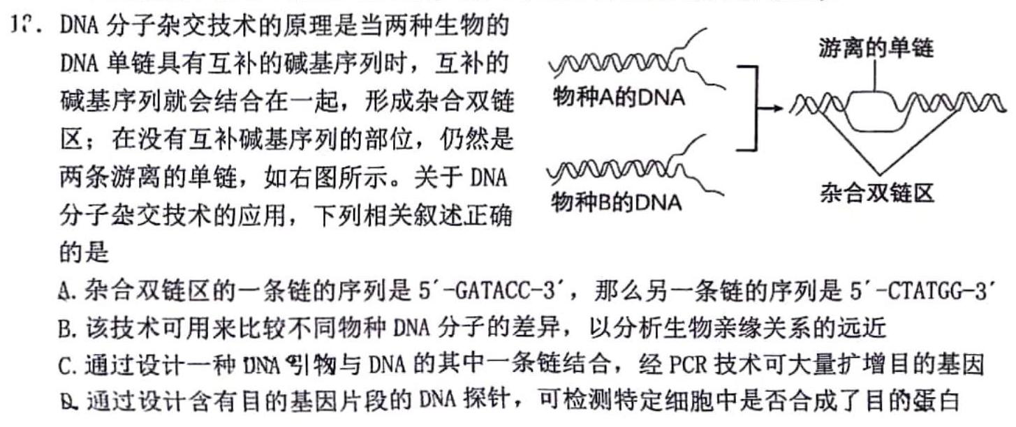 2024届湖南天壹名校联盟高三9月大联考生物学试题答案