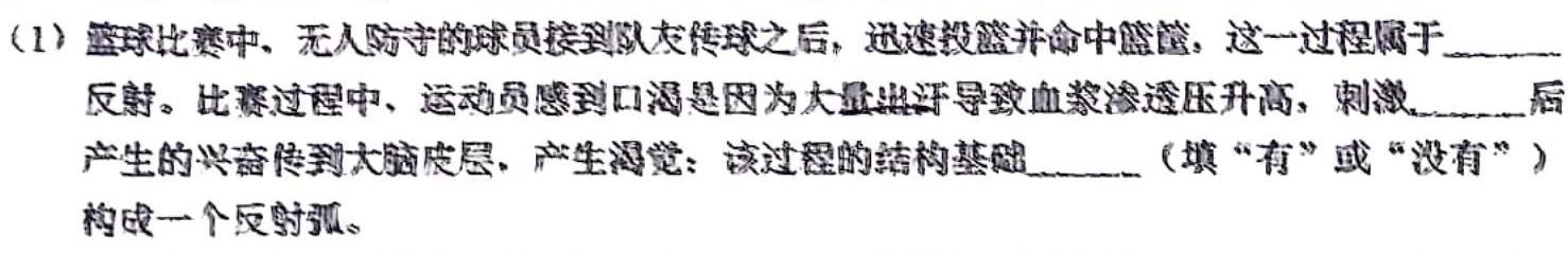 2023-2024学年安徽省九年级上学期阶段性练习（一）生物