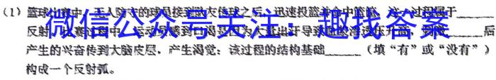 湖南省长沙市第一中学2024届高三上学期月考（二）生物