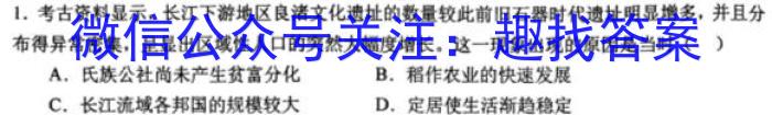 安徽省皖豫名校联盟体2024届高三第一次联考历史