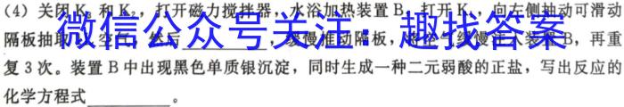 q安徽省2023~2024九年级阶段诊断 R-PGZX F-AH(一)化学