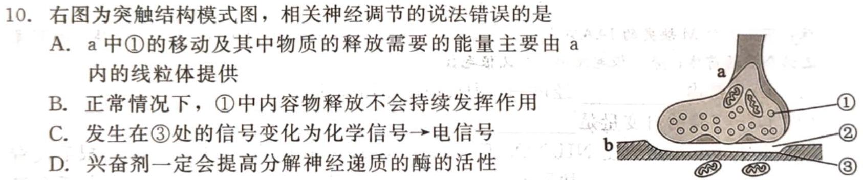 山西省2023-2024学年第一学期九年级教学质量检测考试（10月月考）生物学试题答案