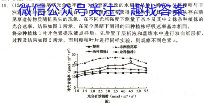 2023秋季九年级第一阶段素养达标测试（巩固卷）生物试卷答案