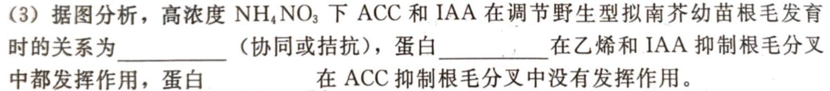 怀仁一中高二年级2023-2024学年上学期第二次月考(24092B)生物学试题答案