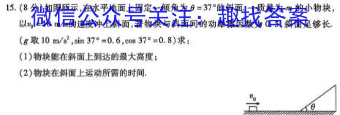 ［卓育云］山西2024届九年级中考学科素养自主测评卷(一)l物理