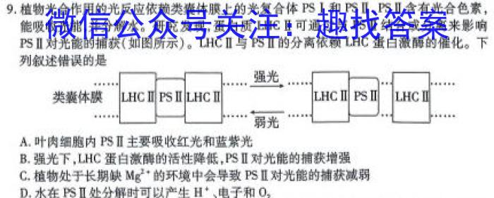 辽宁省名校联盟2023-2024学年高二上学期10月联合考试生物