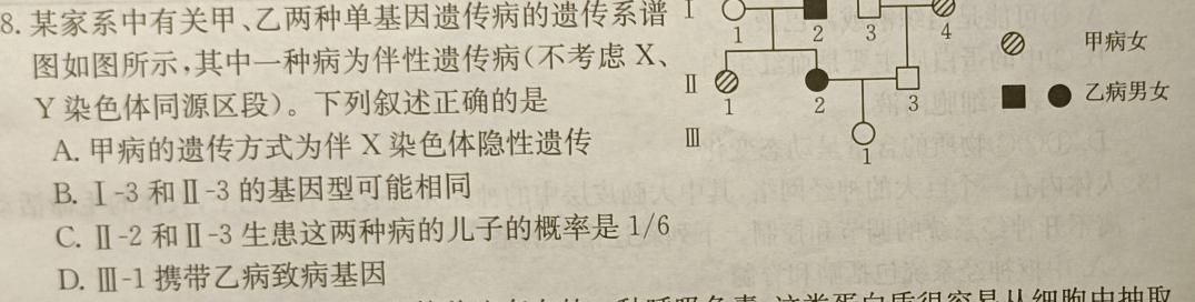 河南省24届高三年级TOP二十名校调研考试三[243065D]生物学试题答案