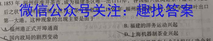 [今日更新]山西省九年级2023-2024学年新课标闯关卷（八）SHX历史