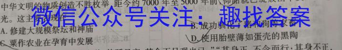 徽师教育·安徽省2024届高三8月质检历史