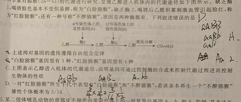 衡水名师卷 2023-2024学年度高三分科检测提分卷(二)生物学试题答案