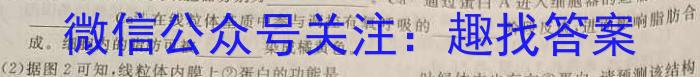 山西省九年级2023-2024学年新课标闯关卷（四）SHX生物试卷答案