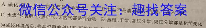 q河北省2024届九年级阶段评估（一）【1LR】化学