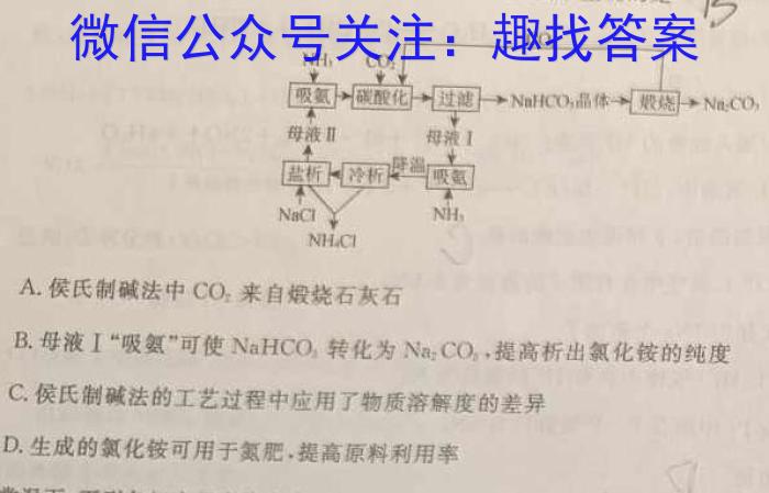 q陕西省2024届高三阶段性检测卷（二）化学