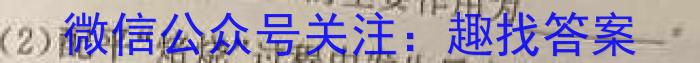 q炎德·英才·名校联考联合体2024届高三年级(2023年下学期)第三次联考联评化学