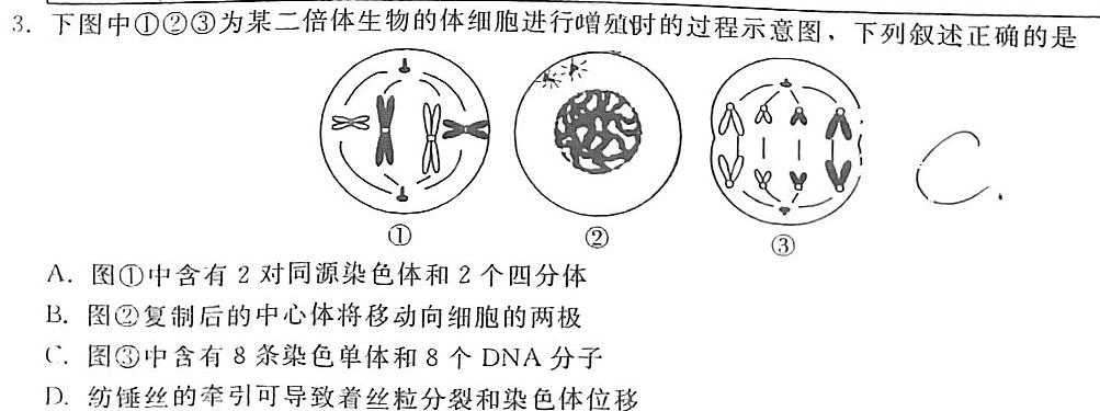 安徽省2023-2024学年度九年级阶段诊断【R-PGZX F-AH】生物学试题答案