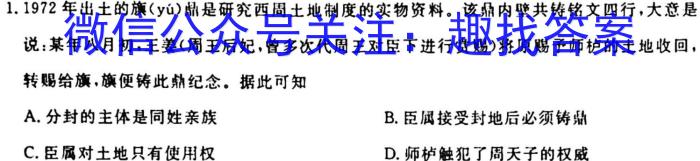 云南省2025届高二年级9月月考卷历史