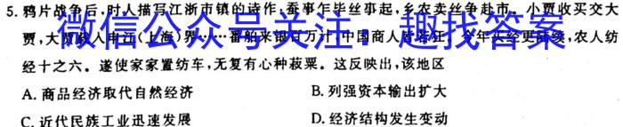 [今日更新]安徽省2023-2024学年度九年级阶段诊断【R-PGZX F-AH】历史
