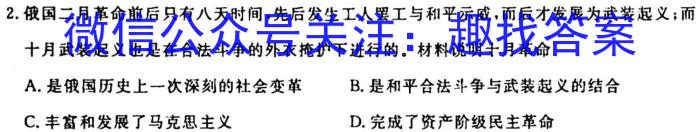 山西省九年级2023-2024学年新课标闯关卷（七）SHX历史