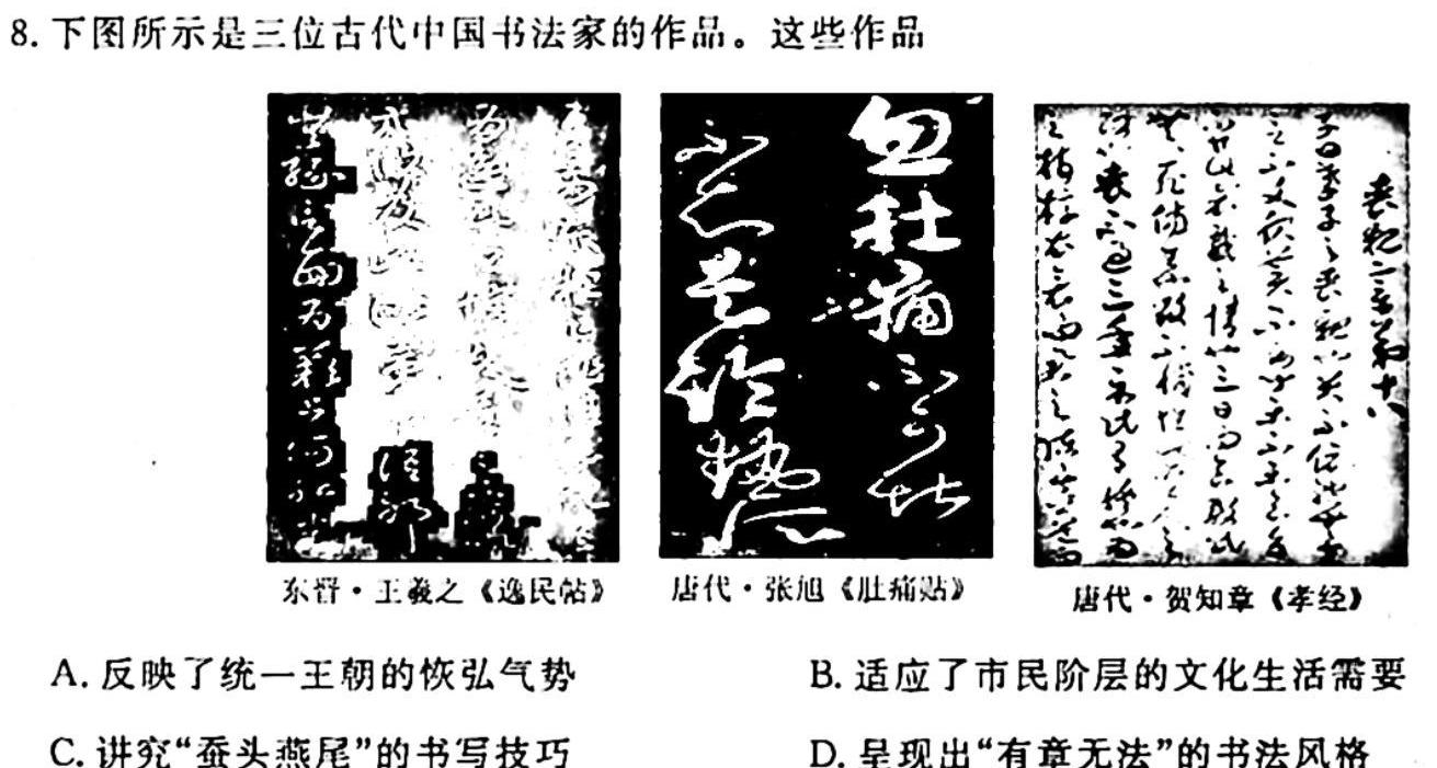 2024届新高考模拟检测卷XKB(四)历史