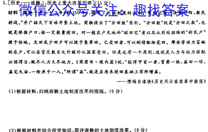 河南省南阳市镇平县2024届九年级秋期学情研判练习题历史