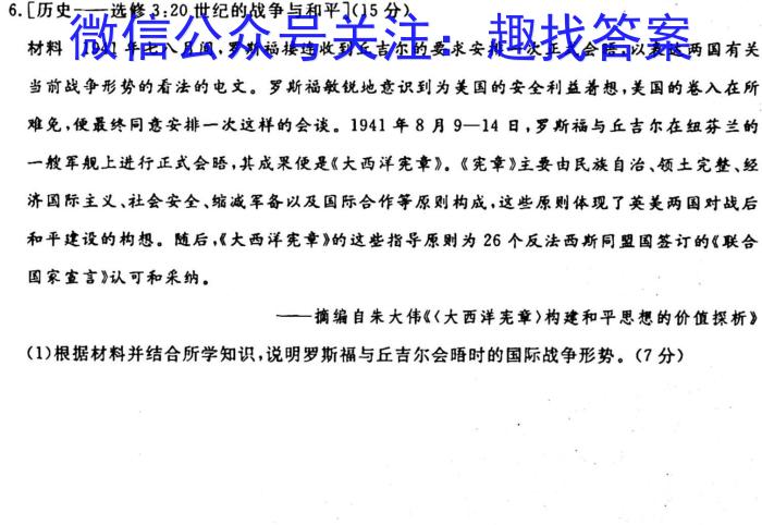 皖智·全程达标卷·安徽第一卷·2023-2024学年九年级单元检测卷政治s