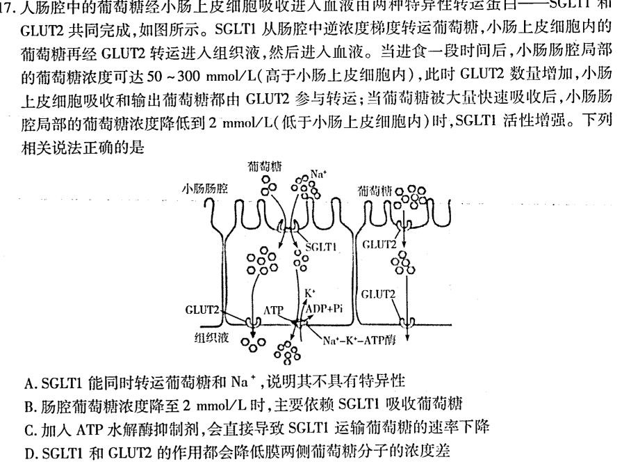 江西省2024届百师联盟高三一轮复习联考(9月)生物学试题答案