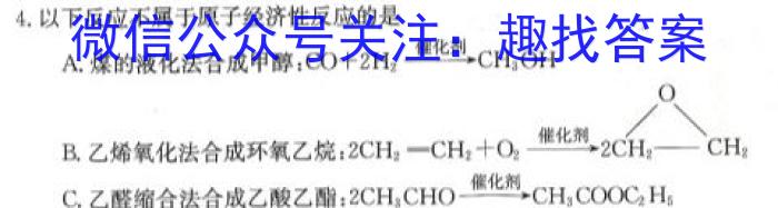 q陕西省2024届九年级教学质量检测A化学