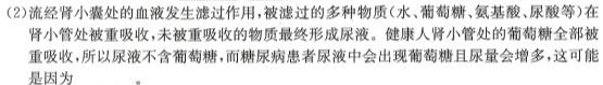 山西省大同市平城区2023-2024学年第一学期九年级第一次月考（三校联考）生物学试题答案