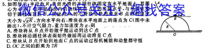 安徽第一卷2023-2024安徽省九年级教学质量检测(一)q物理