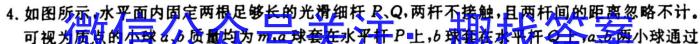 炎德·英才·名校联考联合体2024届高三年级(2023年下学期)第三次联考联评q物理