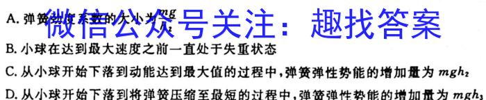 2024届普通高等学校招生统一考试青桐鸣高三10月大联考f物理