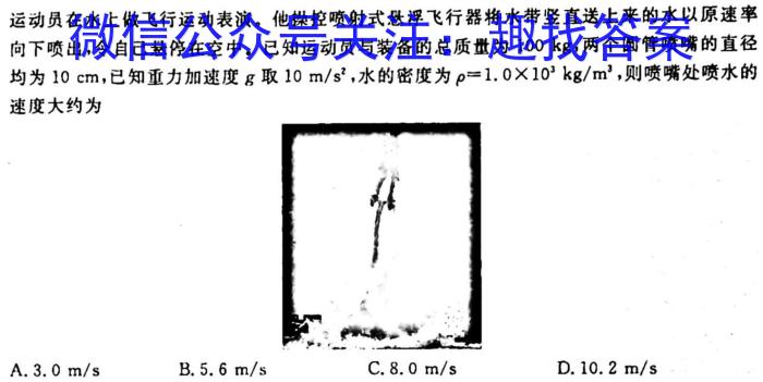 陕西省2025届八年级教学素养测评（一）A【1LR】l物理