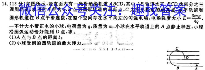 河南省2024届九年级阶段评估（一）【1LR】q物理