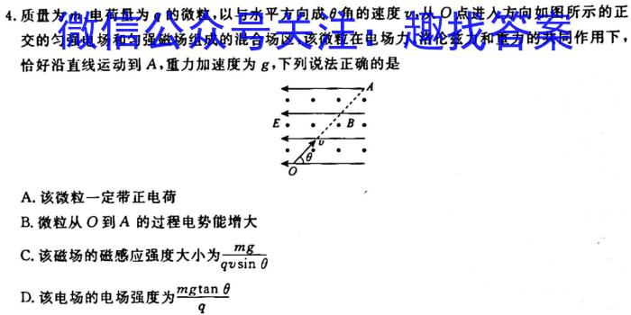 江西省连云港东海县2023-2024学年七年级上学期新生素养检测l物理