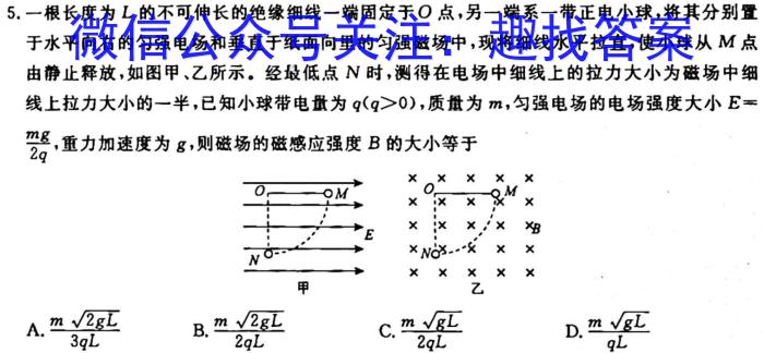 云南省2023-2024学年高二年级9月联考物理`