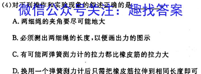 安徽省2023-2024学年第一学期九年级教学质量监测l物理