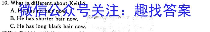 山西省九年级2023-2024学年新课标闯关卷（十）SHX英语