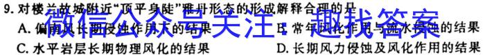 云南省2025届高二年级9月月考卷政治试卷d答案