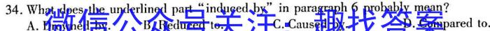 河北省NT2023-2024学年第一学期9月高三阶段测试英语试题