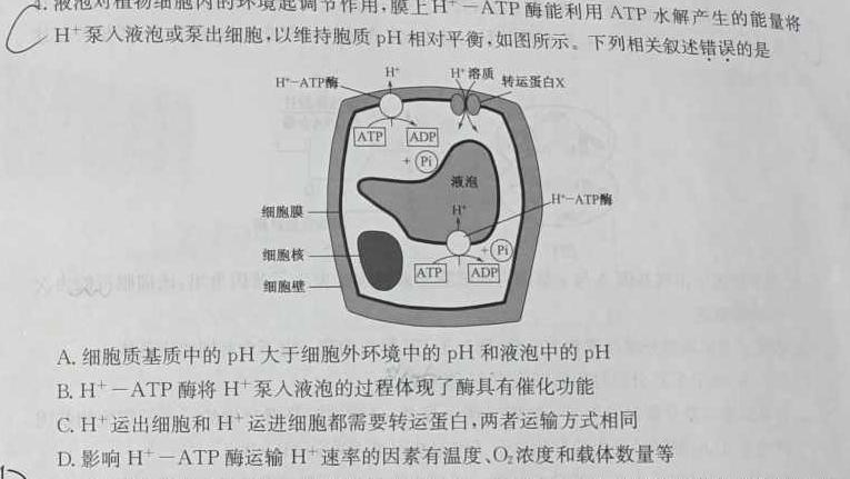 山西省2023-2024九年级第一学期阶段性练习(一)生物学试题答案