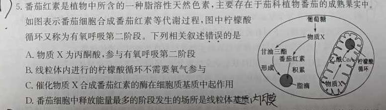 江西省2023-2024学年度九年级阶段性练习（一）生物