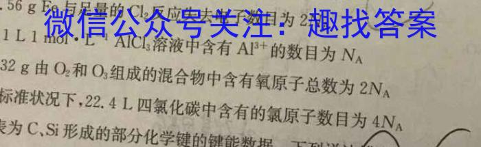 q陕西省绥德中学2023-2024学年度第一学期九年级开学质量检测化学