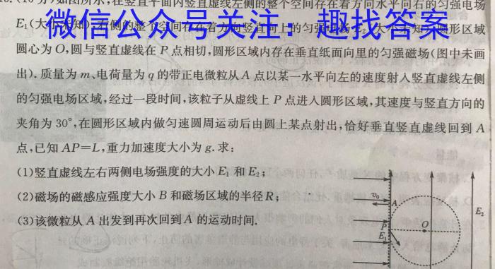 2024全国高考分科综合卷 老高考(一)1l物理